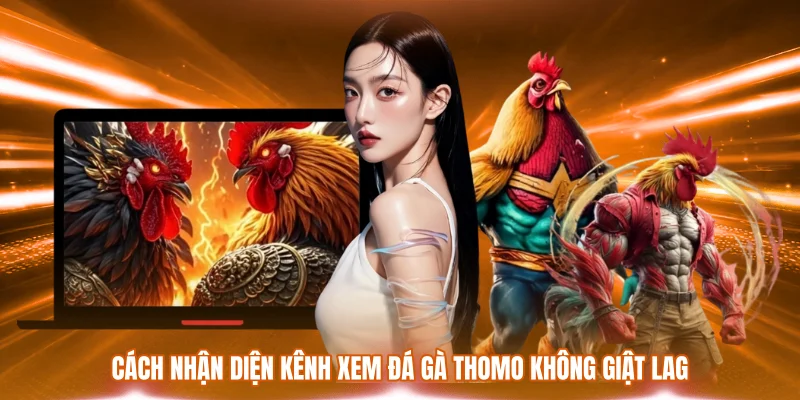 Cách nhận diện kênh xem đá gà Thomo không giật lag