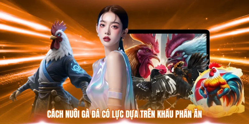 Cách Nuôi Gà Đá Có Lực – Chăm Sóc Và Rèn Thể Trạng Hiệu Quả 1 Cách nuôi gà đá có lực dựa trên khẩu phần ăn