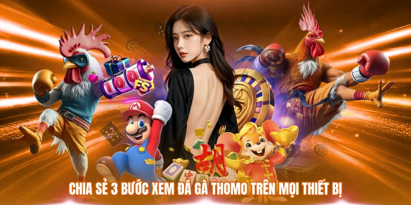 Xem Đá Gà Thomo - Trải Nghiệm Giải Trí Hấp Dẫn Nhất 2026 3 Chia sẻ 3 bước xem đá gà Thomo trên mọi thiết bị