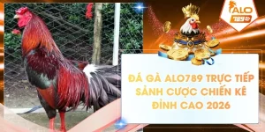 da ga alo789 truc tiep sanh cuoc chien ke dinh cao 2026