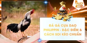 da ga cua dao philippin dac diem cach soi keo chuan