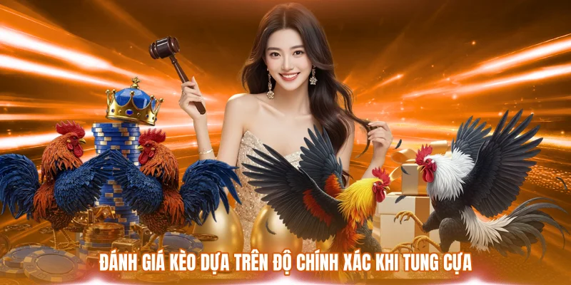 Đá Gà Cựa Dao - Mãn Nhãn Với Những Màn So Tài Đẳng Cấp 3 Đánh giá kèo dựa trên độ chính xác khi tung cựa