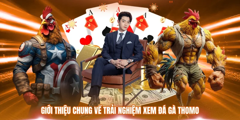 Xem Đá Gà Thomo - Trải Nghiệm Giải Trí Hấp Dẫn Nhất 2026 1 Giới thiệu chung về trải nghiệm xem đá gà Thomo