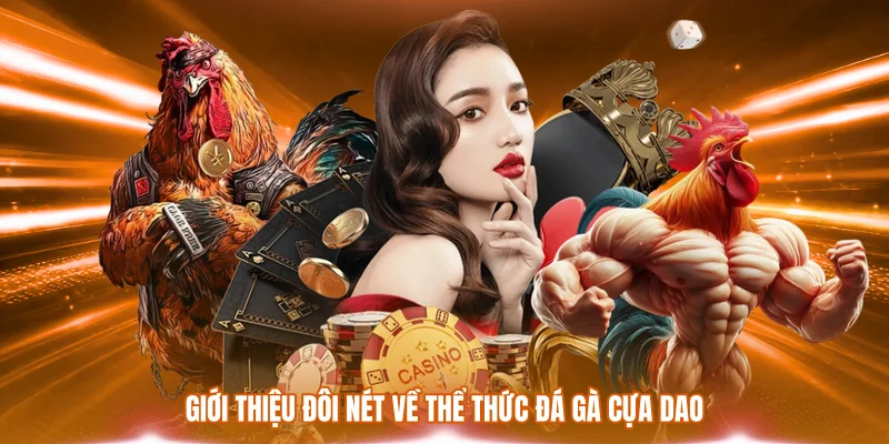 Đá Gà Cựa Dao - Mãn Nhãn Với Những Màn So Tài Đẳng Cấp 1 Giới thiệu đôi nét về thể thức đá gà cựa dao