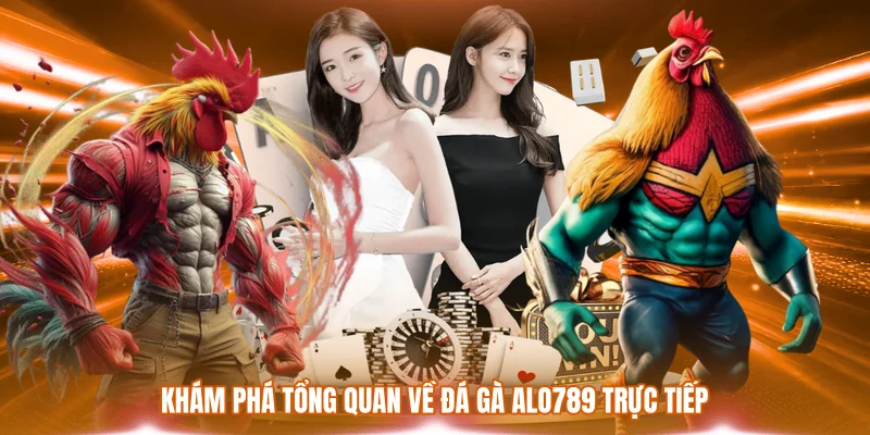 Khám phá tổng quan về đá gà ALO789 trực tiếp