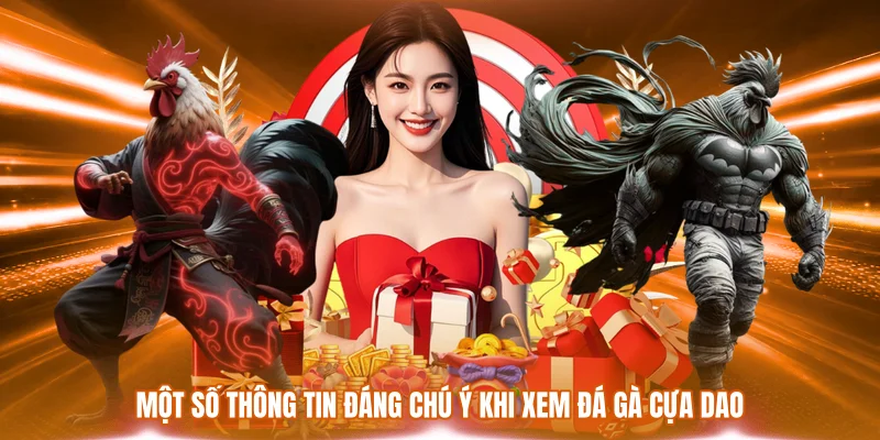 Xem Đá Gà Cựa Dao - Hướng Dẫn Chi Tiết Và Lưu Ý Quan Trọng 3 Một số thông tin đáng chú ý khi xem đá gà cựa dao