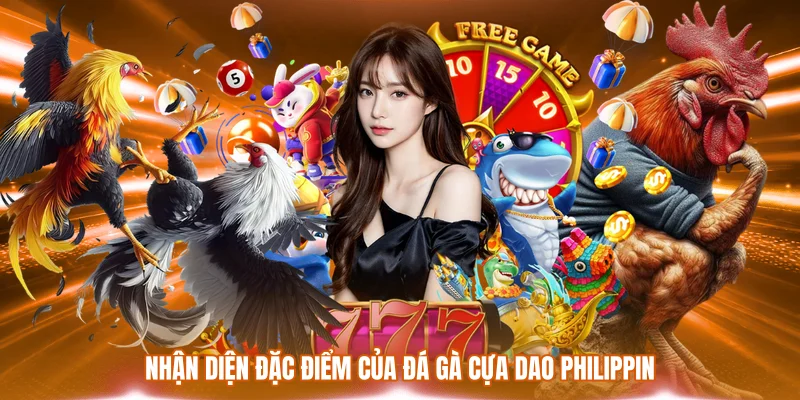 Đá Gà Cựa Dao Philippin - Đặc Điểm & Cách Soi Kèo Chuẩn 1 Nhận diện đặc điểm của đá gà cựa dao Philippin
