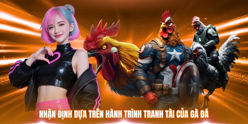 Đá Gà Derby Thomo - Tâm Điểm Tranh Tài Kịch Tính Mỗi Ngày 3 Nhận định dựa trên hành trình tranh tài của gà đá