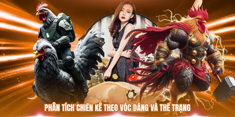 Đá Gà Cựa Dao Philippin - Đặc Điểm & Cách Soi Kèo Chuẩn 3 Phân tích chiến kê theo vóc dáng và thể trạng