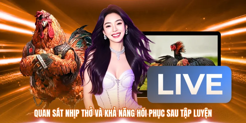 Cách Nuôi Gà Đá Có Lực – Chăm Sóc Và Rèn Thể Trạng Hiệu Quả 3 Quan sát nhịp thở và khả năng hồi phục sau tập luyện