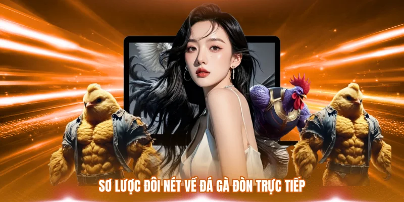 Đá Gà Đòn Trực Tiếp - Trải Nghiệm Đậm Chất Chiến Thuật 1 Sơ lược đôi nét về đá gà đòn trực tiếp