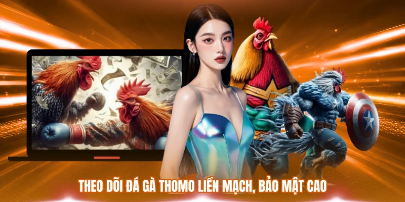 Theo dõi đá gà Thomo liền mạch, bảo mật cao