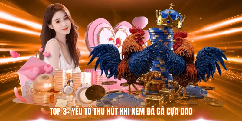 Xem Đá Gà Cựa Dao - Hướng Dẫn Chi Tiết Và Lưu Ý Quan Trọng 1 Top 3+ yếu tố thu hút khi xem đá gà cựa dao