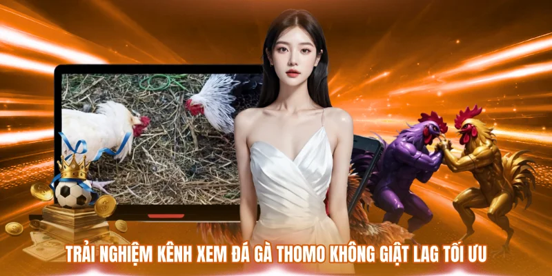 Trải nghiệm kênh xem đá gà Thomo không giật lag tối ưu
