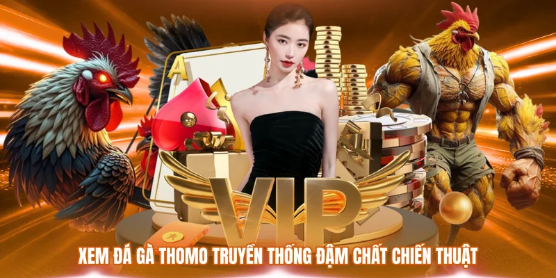 Xem Đá Gà Thomo - Trải Nghiệm Giải Trí Hấp Dẫn Nhất 2026 2 Xem đá gà Thomo truyền thống đậm chất chiến thuật